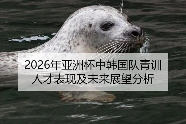 2026年亚洲杯中韩国队青训人才表现及未来展望分析
