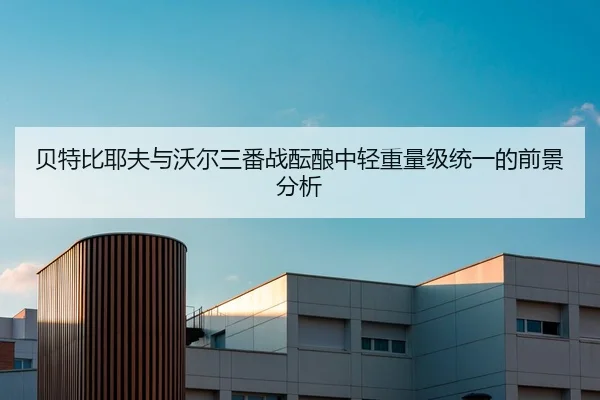 bei-te-bi-ye-fu-yu-wo-er-san-fan-zhan-yun-niang-zhong-qing-zhong-liang-ji-tong-yi-de-qian-jing-fen-xi-2-969.jpg