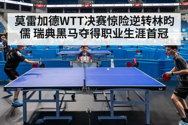table tennis match action